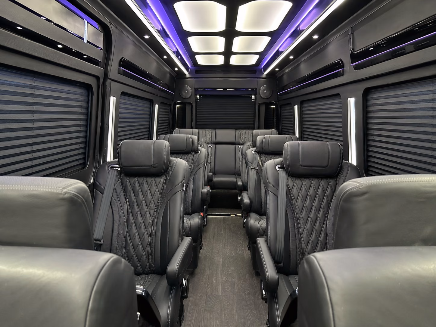 concert night sprinter vans and minibuses for smaller grand rapids groups