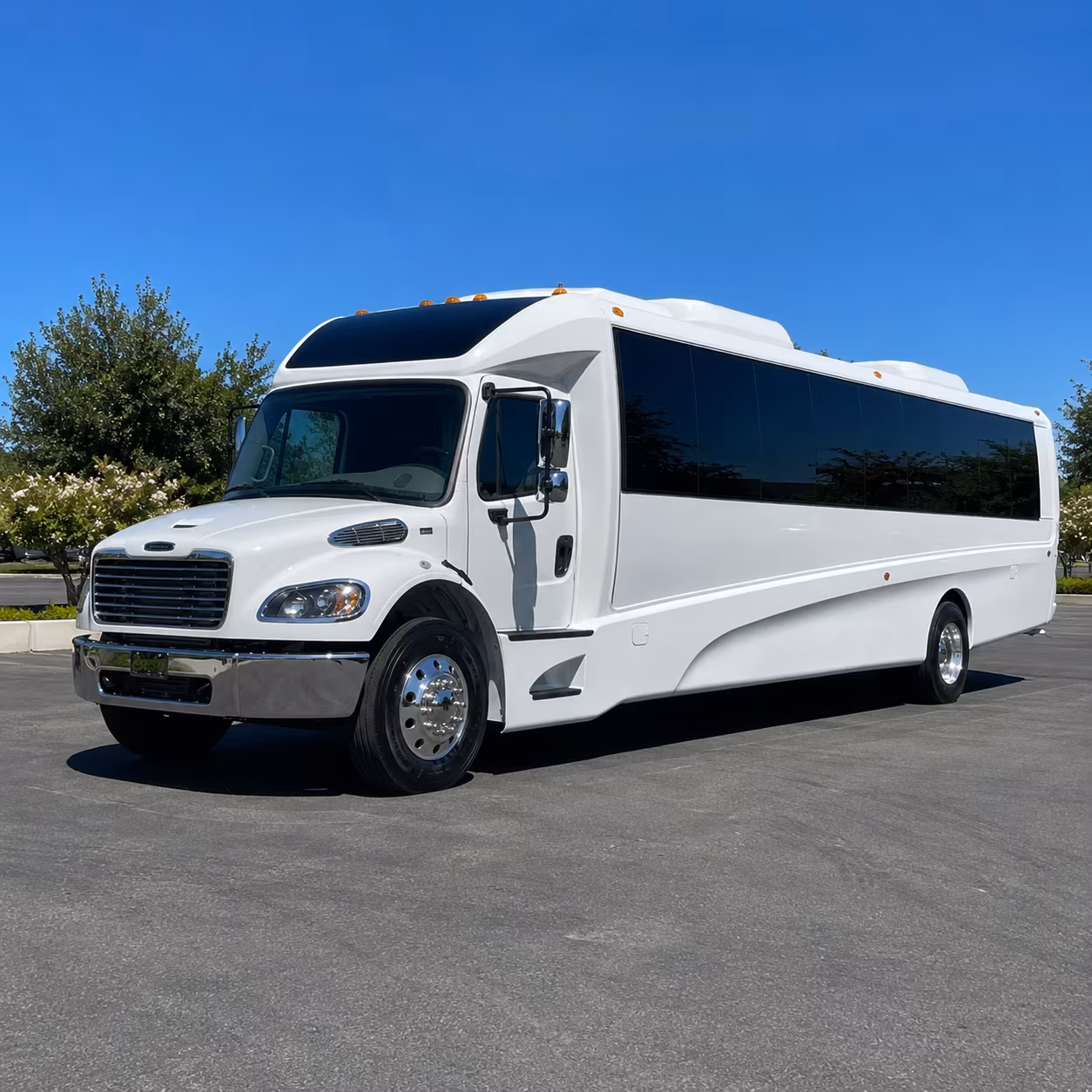 grand rapids 30 passenger minibus