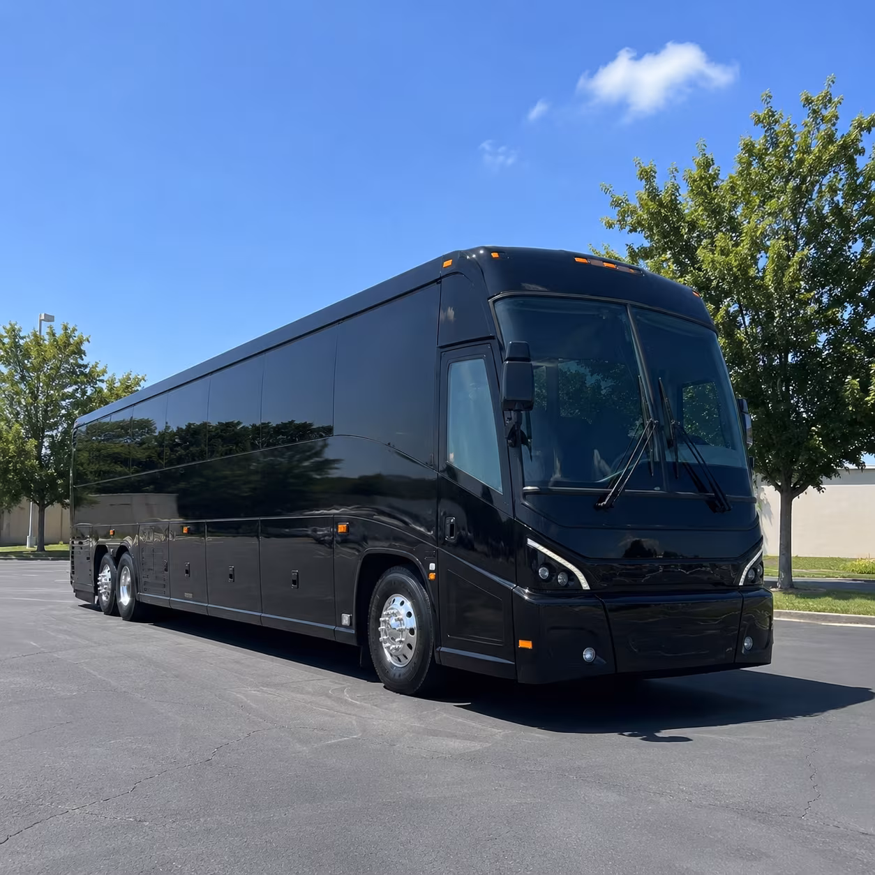 grand rapids 56 passenger charter bus