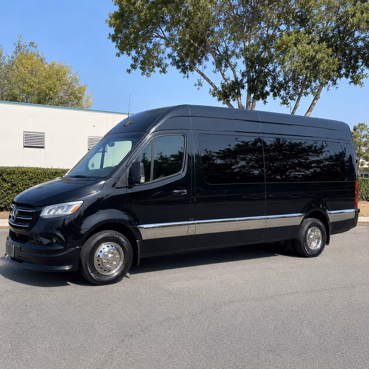 grand rapids birthday party transportation