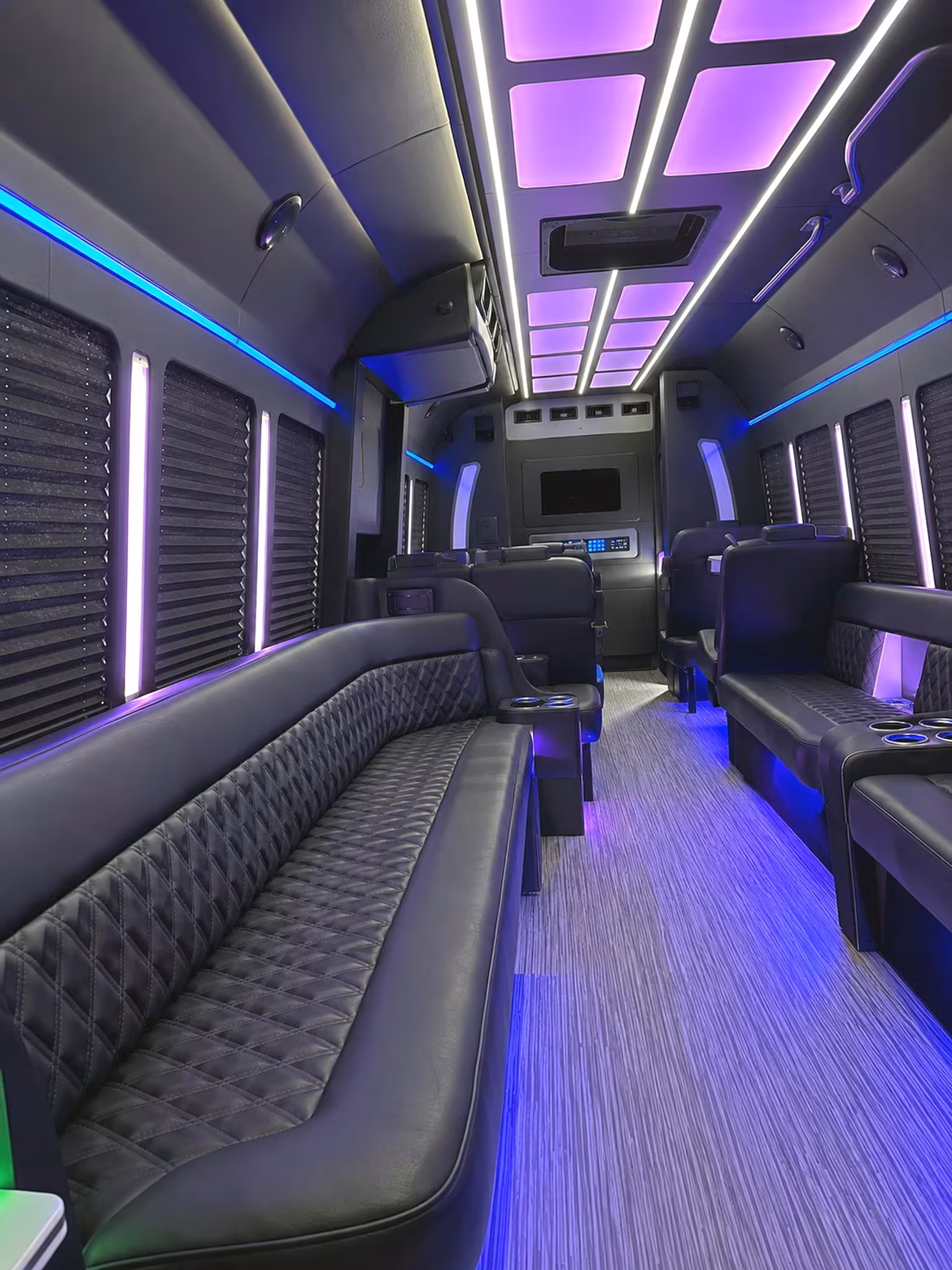 grand rapids night out party bus rental