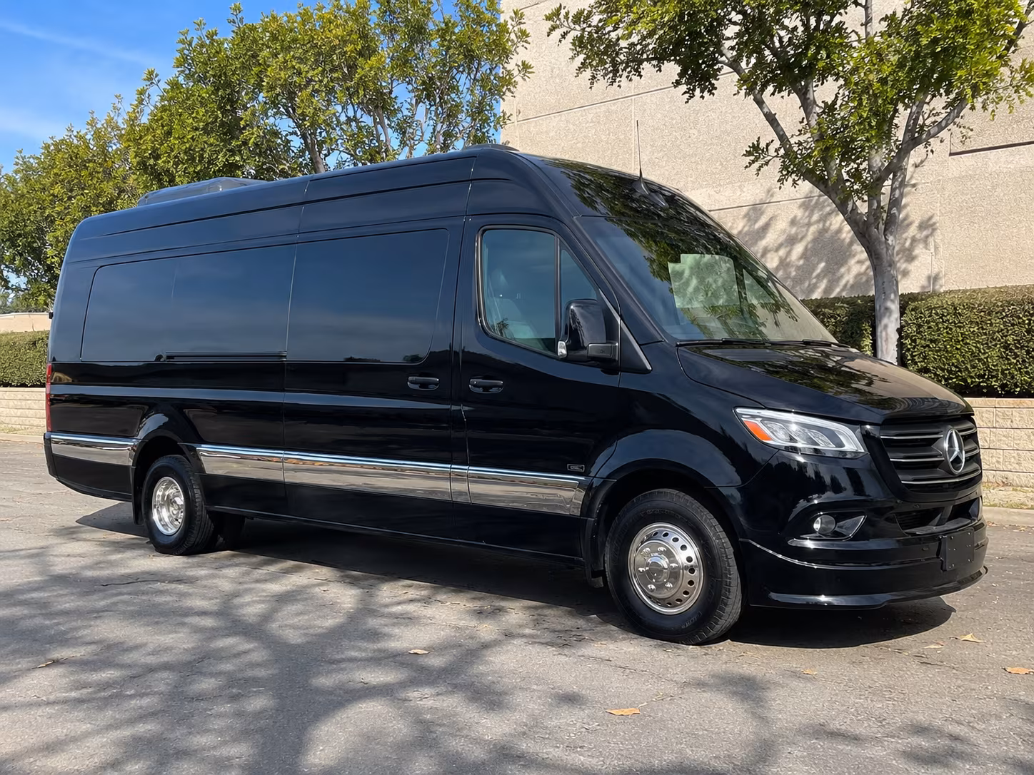 grand rapids sprinter van with driver